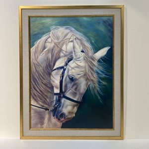 Horse Face Canvas Print